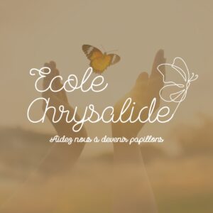Chrysalide